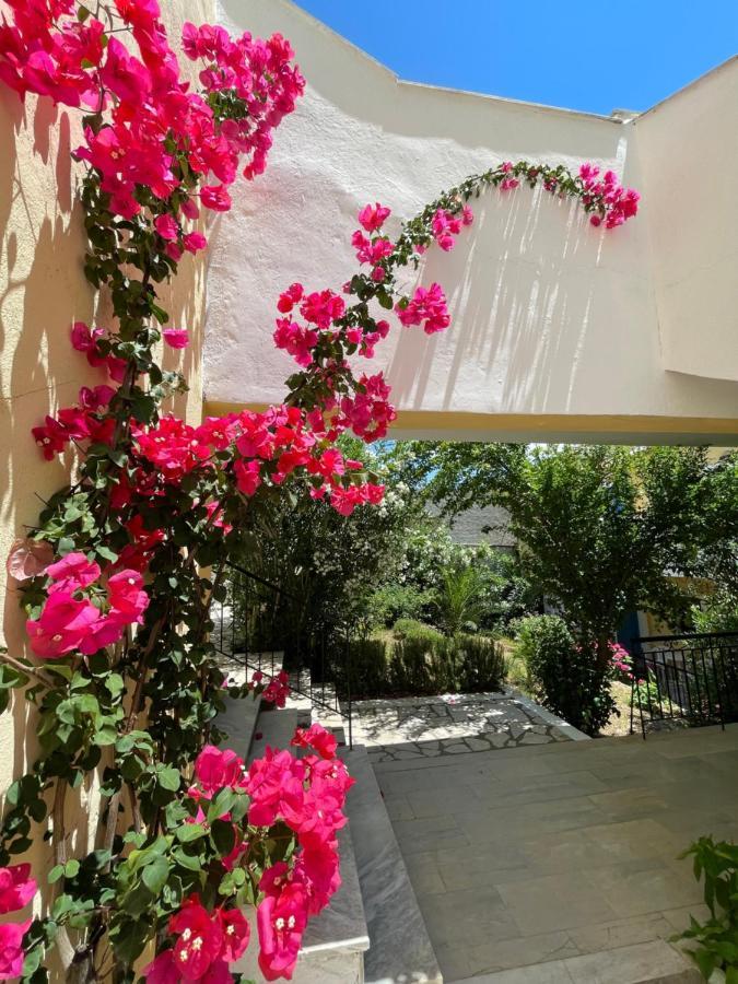 Apartahotel Sunflower Apartments&studios Kassiopi